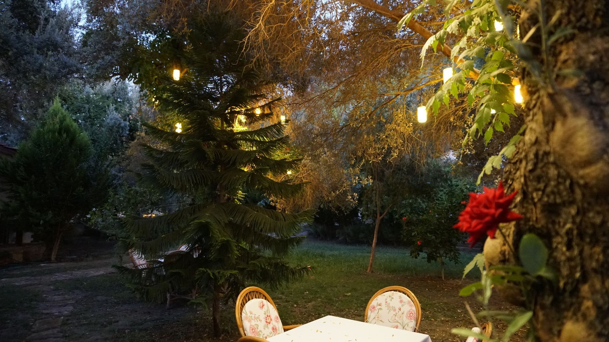 Datca Masal Gibi Экстерьер фото
